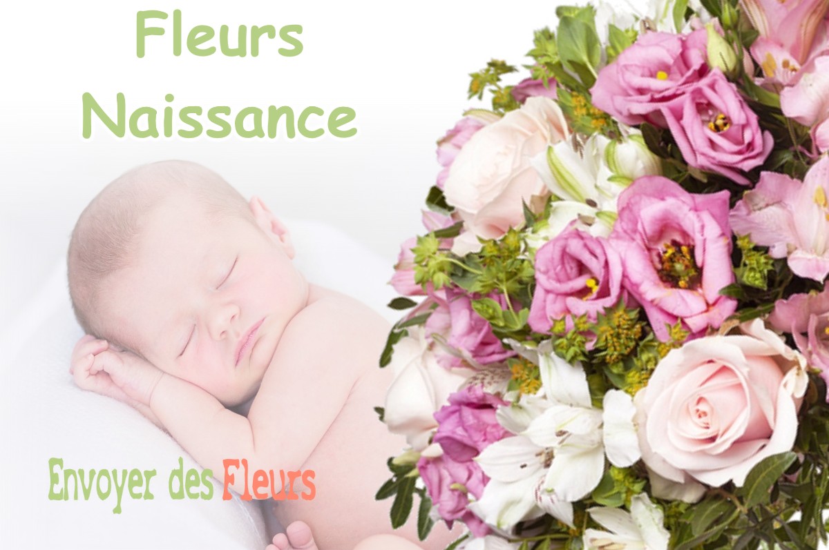 lIVRAISON FLEURS NAISSANCE à OUVROUER-LES-CHAMPS