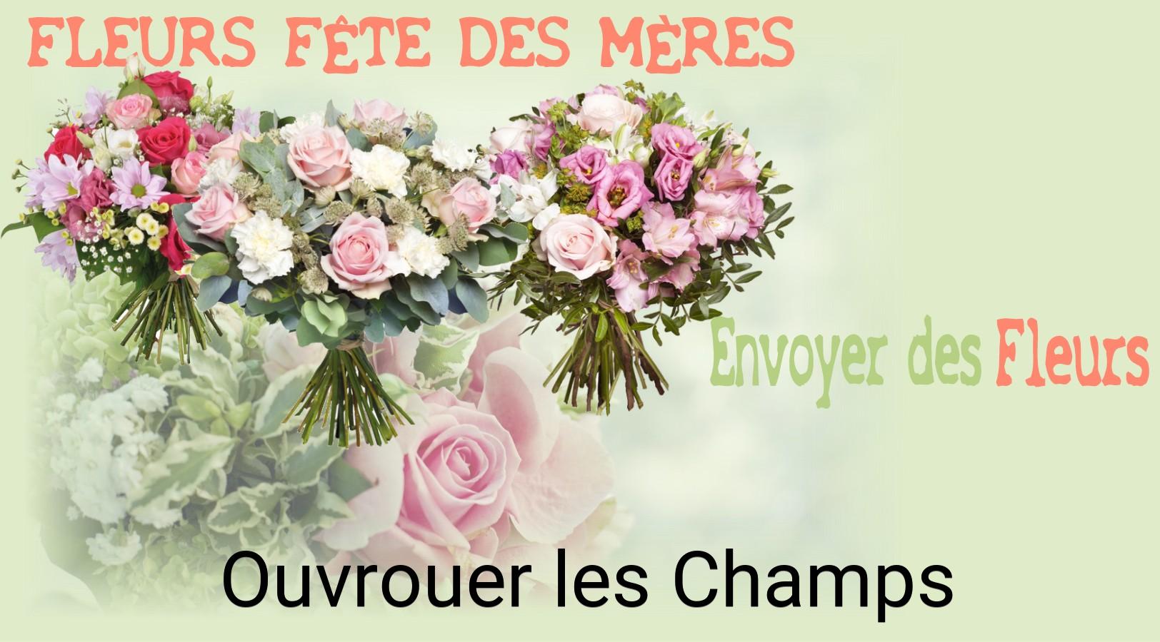 Bouquet de Fête des Mères livré à Ouvrouer-les-Champs